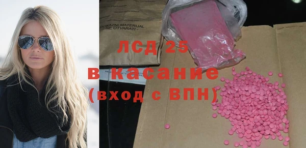 индика Гусев
