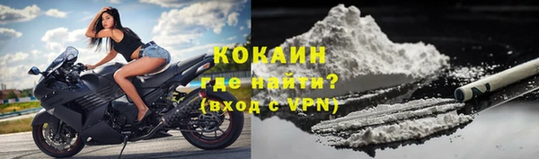 индика Гусев