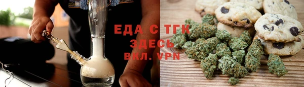 индика Гусев