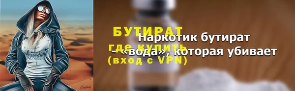 индика Гусев