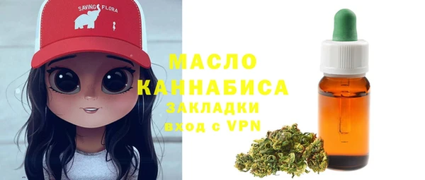 индика Гусев