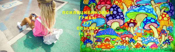 индика Гусев