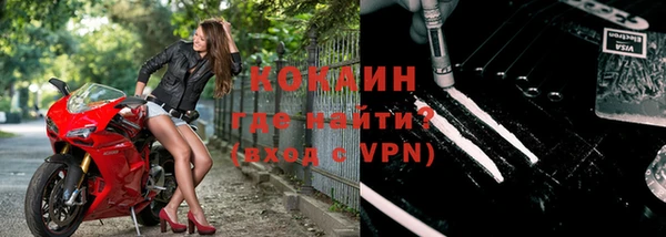 индика Гусев