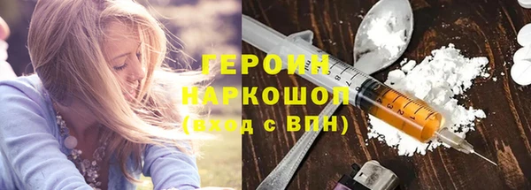 индика Гусев