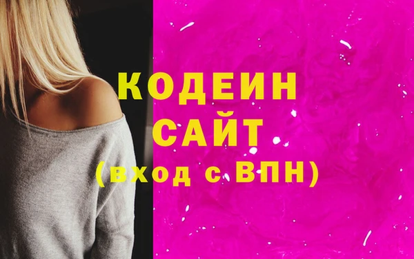индика Гусев